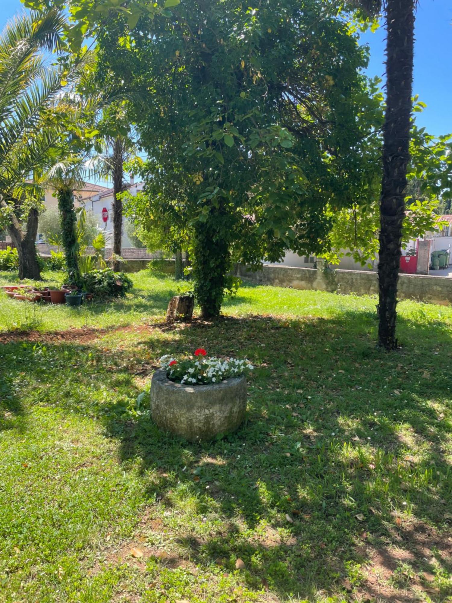 Apartments Bloom Near The Beach Porec Bagian luar foto